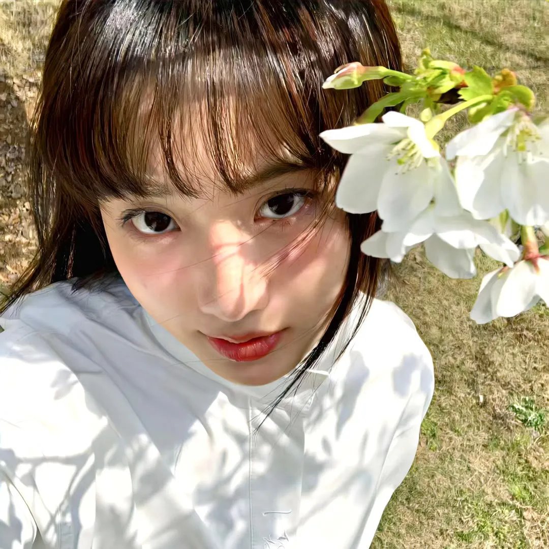 飞翔的魔女